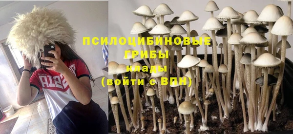 mdpv Алзамай