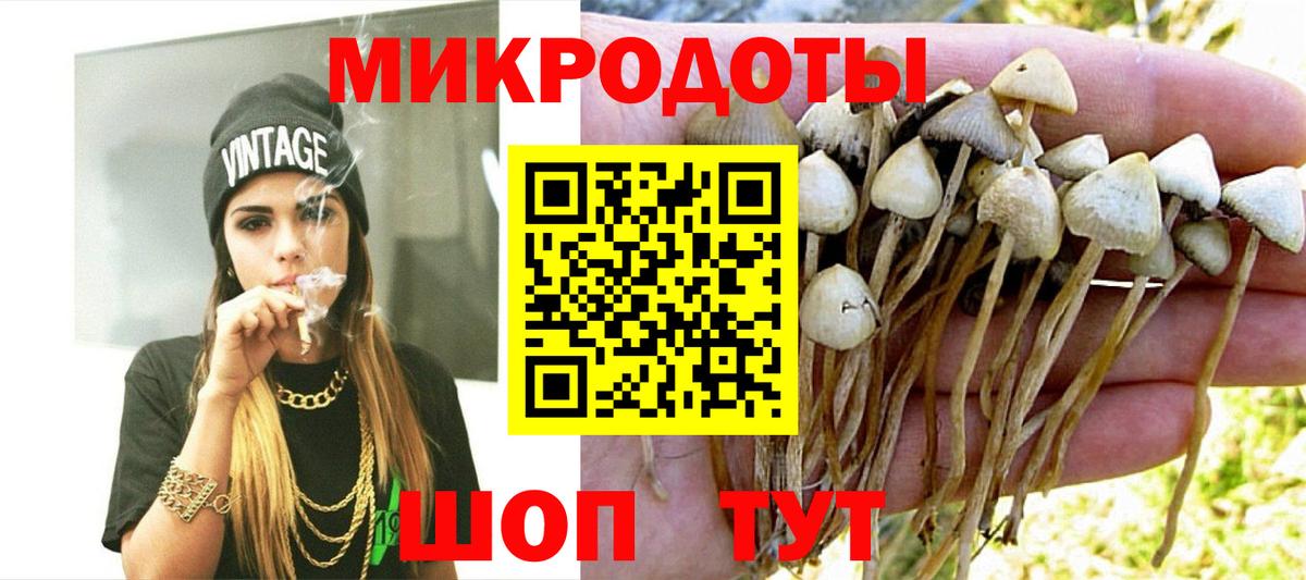 Псилоцибиновые грибы Psilocybe  Вход с VPN  Алушта 