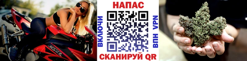 Бошки Шишки тримм  KRAKEN ТОР  Алушта 